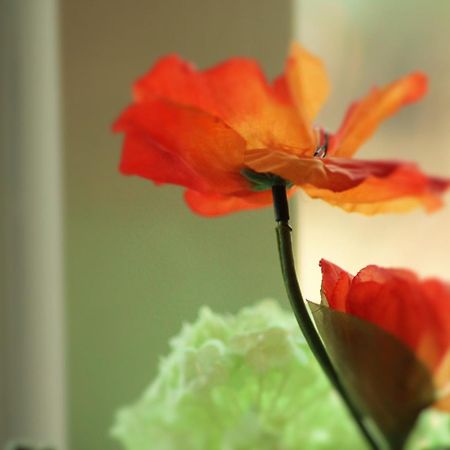 Apartments Bommels フィールハウテン エクステリア 写真